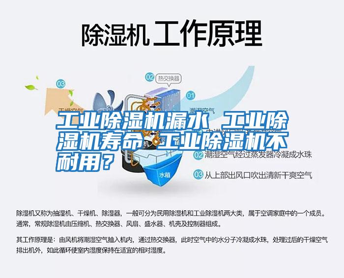 工業(yè)除濕機(jī)漏水 工業(yè)除濕機(jī)壽命 工業(yè)除濕機(jī)不耐用?