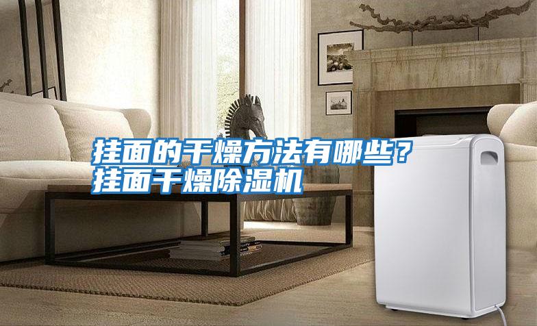 掛面的干燥方法有哪些? 掛面干燥除濕機