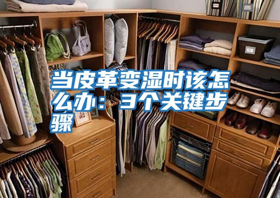 當(dāng)皮革變濕時(shí)該怎么辦:3個(gè)關(guān)鍵步驟