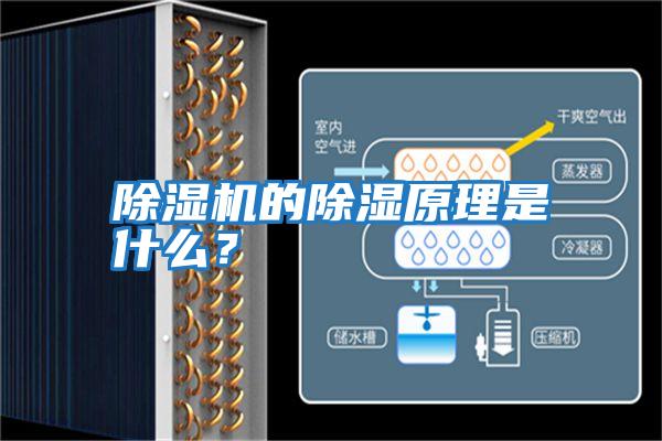 除濕機的除濕原理是什么？