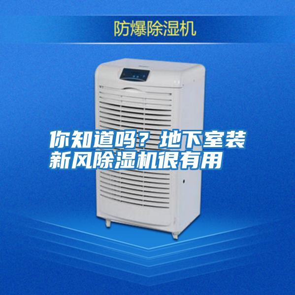 你知道嗎?地下室裝新風(fēng)除濕機(jī)很有用