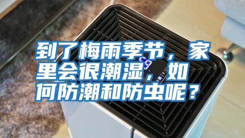 到了梅雨季節,家里會很潮濕,如何防潮和防蟲呢?