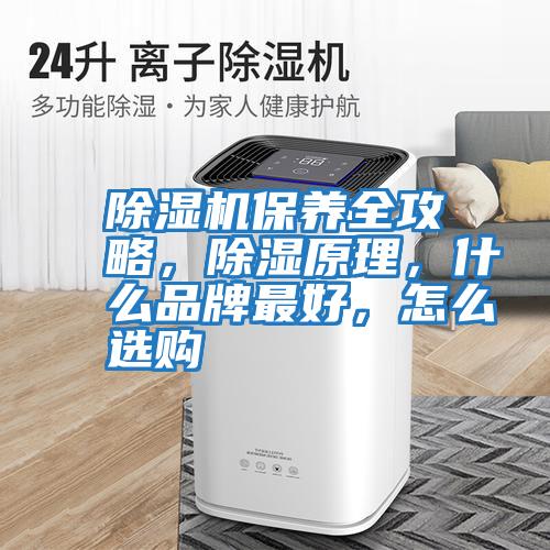 除濕機保養全攻略，除濕原理，什么品牌最好，怎么選購