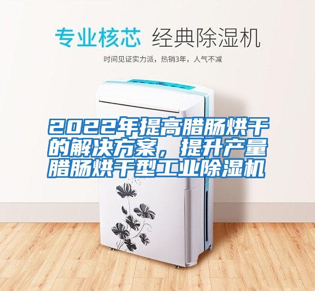 2022年提高臘腸烘干的解決方案，提升產(chǎn)量臘腸烘干型工業(yè)除濕機