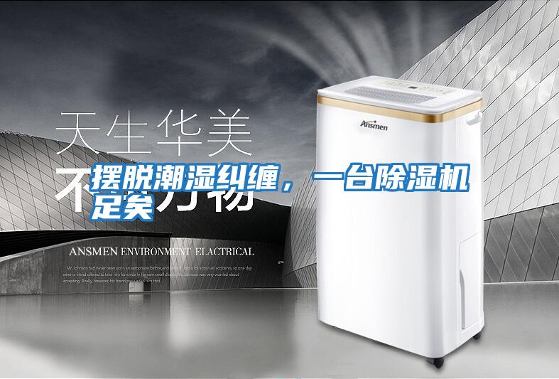 擺脫潮濕糾纏，一臺除濕機足矣