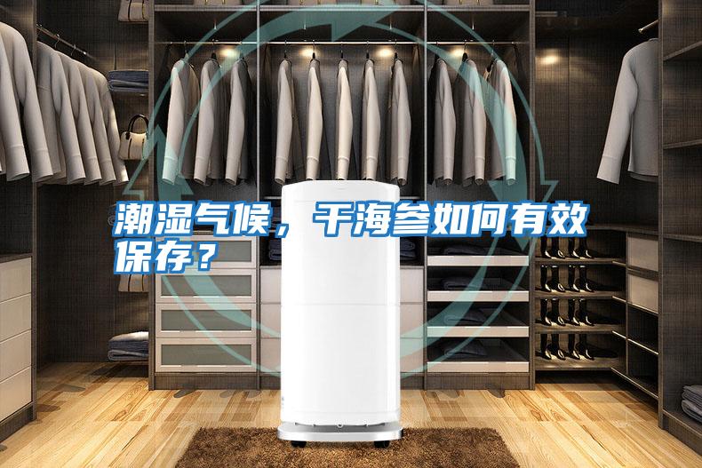 潮濕氣候，干海參如何有效保存？