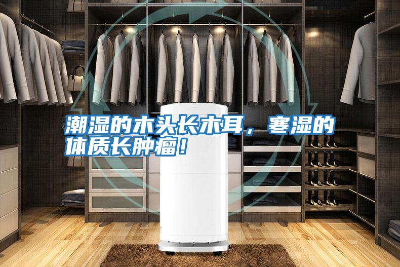 潮濕的木頭長木耳，寒濕的體質長腫瘤！