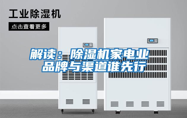 解讀:除濕機(jī)家電業(yè) 品牌與渠道誰(shuí)先行