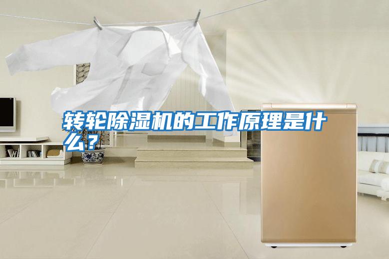 轉輪除濕機的工作原理是什么？