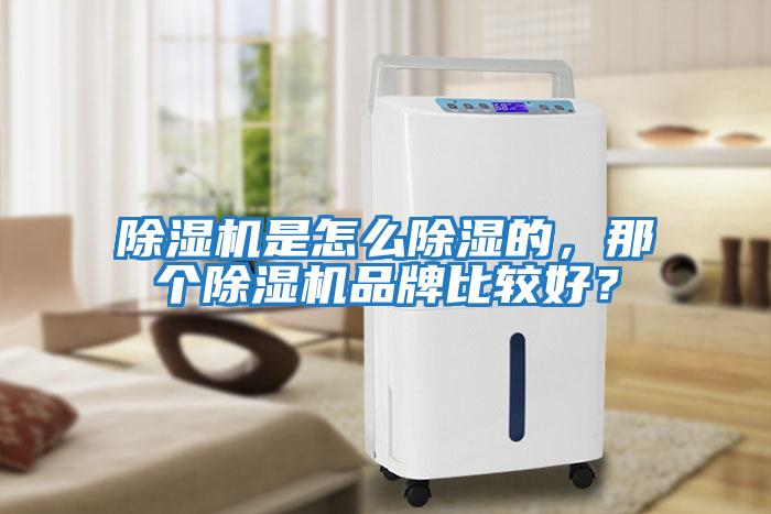 除濕機(jī)是怎么除濕的，那個(gè)除濕機(jī)品牌比較好？