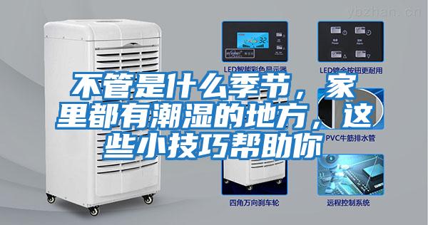 不管是什么季節,家里都有潮濕的地方,這些小技巧幫助你