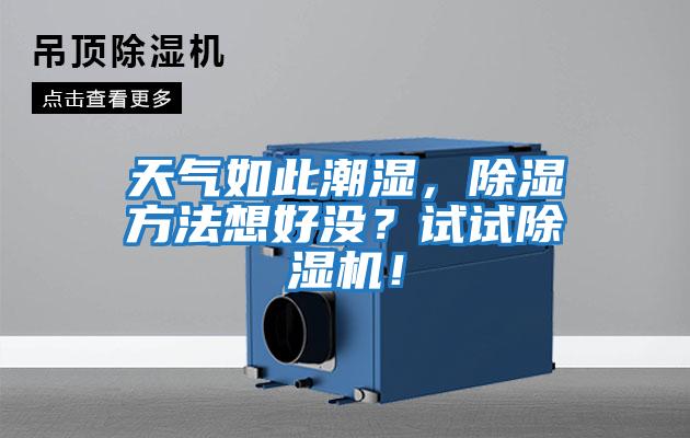 天氣如此潮濕，除濕方法想好沒？試試除濕機！