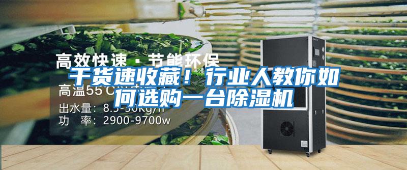 干貨速收藏!行業(yè)人教你如何選購一臺除濕機