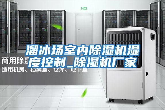 溜冰場室內除濕機濕度控制_除濕機廠家