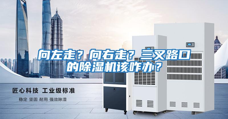 向左走？向右走？三叉路口的除濕機該咋辦？