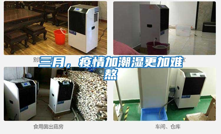 三月，疫情加潮濕更加難熬