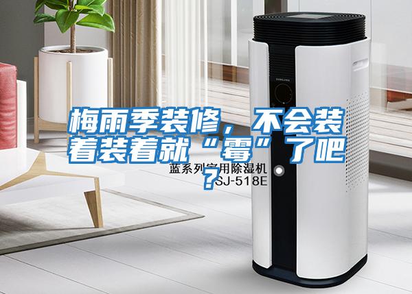 梅雨季裝修,不會(huì)裝著裝著就“霉”了吧?