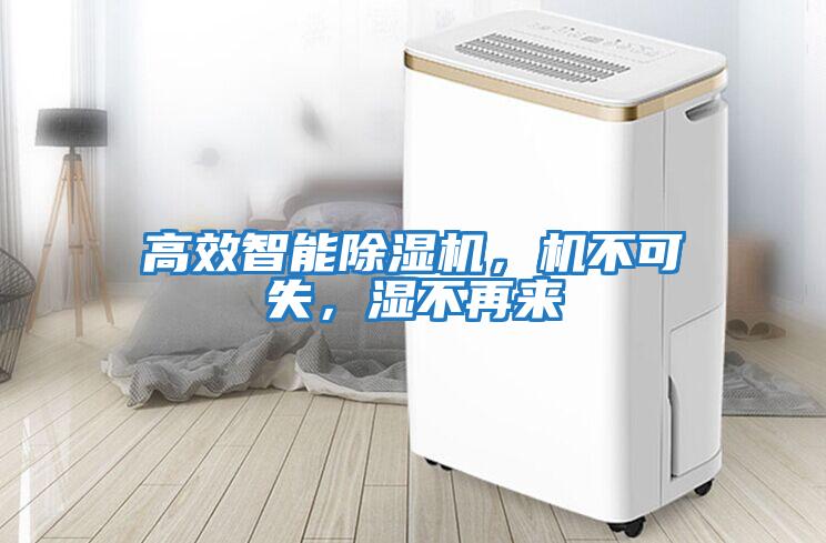 高效智能除濕機,機不可失,濕不再來