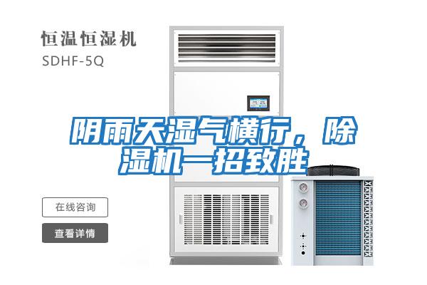 陰雨天濕氣橫行，除濕機一招致勝