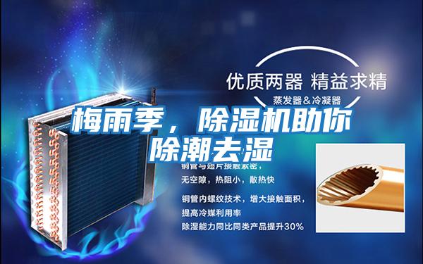 梅雨季，除濕機助你除潮去濕