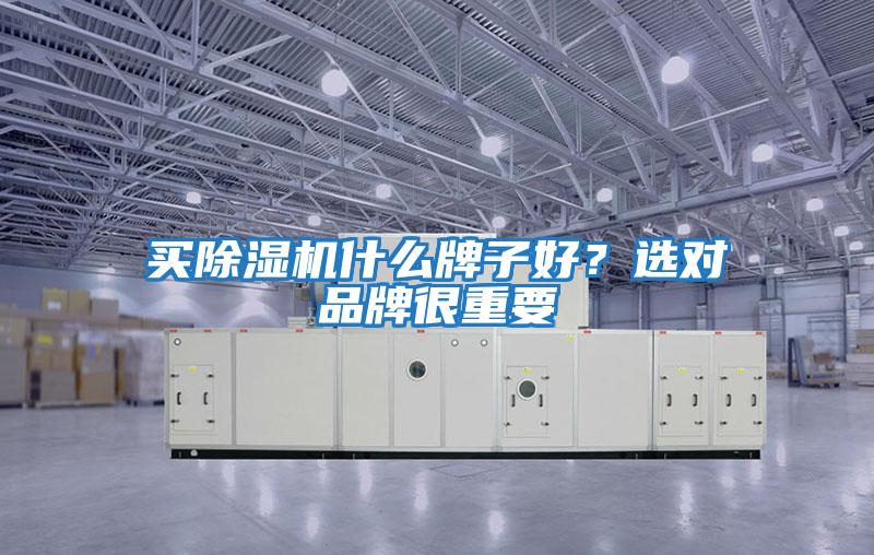 買除濕機(jī)什么牌子好?選對(duì)品牌很重要