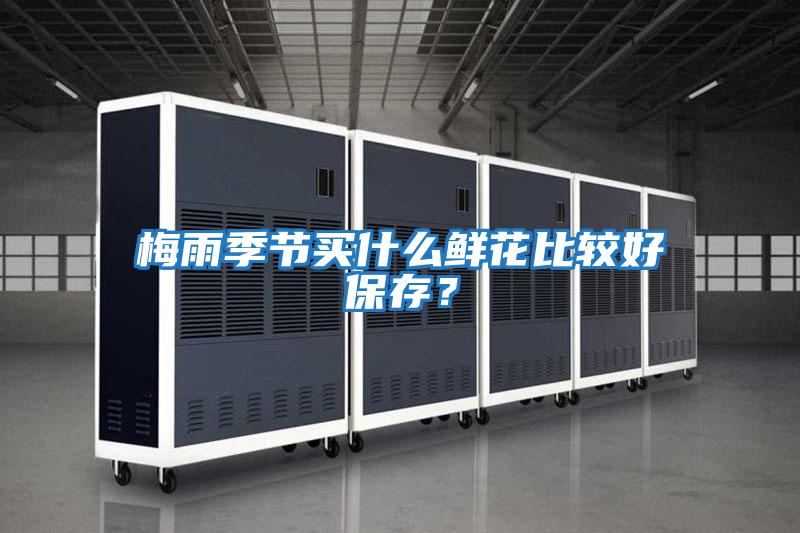 梅雨季節買什么鮮花比較好保存？