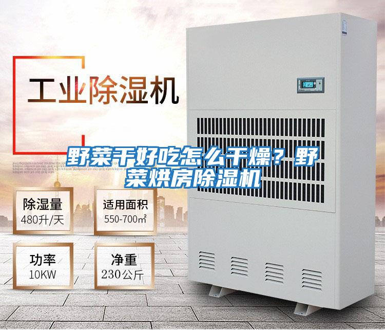 野菜干好吃怎么干燥?野菜烘房除濕機(jī)