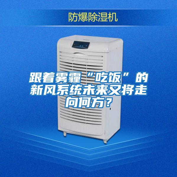 跟著霧霾“吃飯”的新風系統未來又將走向何方？