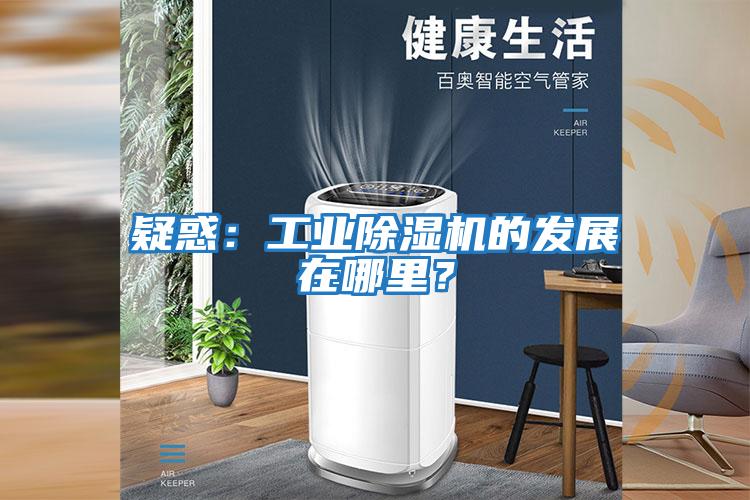 疑惑:工業(yè)除濕機的發(fā)展在哪里?