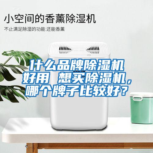 什么品牌除濕機好用 想買除濕機，哪個牌子比較好？