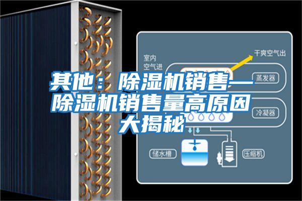 其他:除濕機(jī)銷售—除濕機(jī)銷售量高原因大揭秘