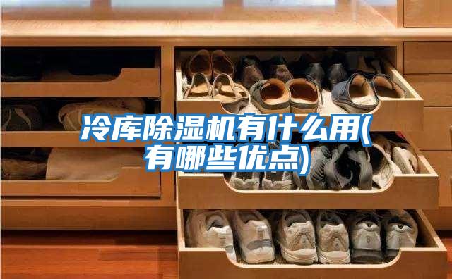 冷庫除濕機有什么用(有哪些優點)