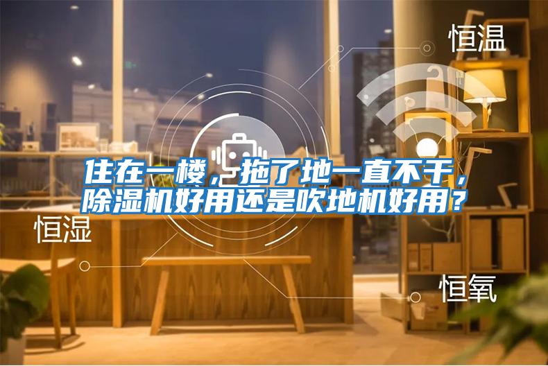 住在一樓,拖了地一直不干,除濕機好用還是吹地機好用?