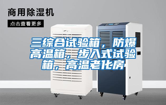 三綜合試驗(yàn)箱，防爆高溫箱，步入式試驗(yàn)箱，高溫老化房