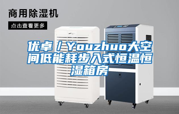 優卓/Youzhuo大空間低能耗步入式恒溫恒濕箱房