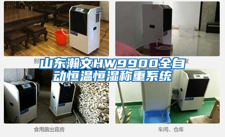 山東瀚文HW9900全自動恒溫恒濕稱重系統