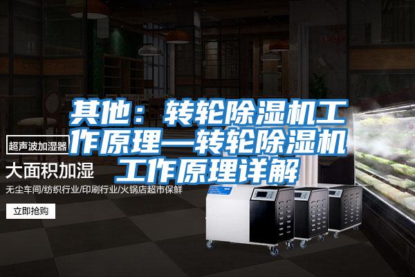 其他:轉(zhuǎn)輪除濕機工作原理—轉(zhuǎn)輪除濕機工作原理詳解