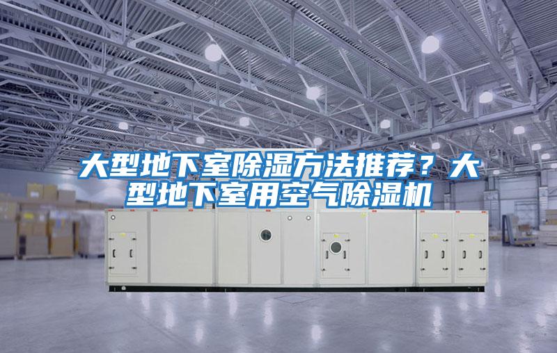 大型地下室除濕方法推薦？大型地下室用空氣除濕機
