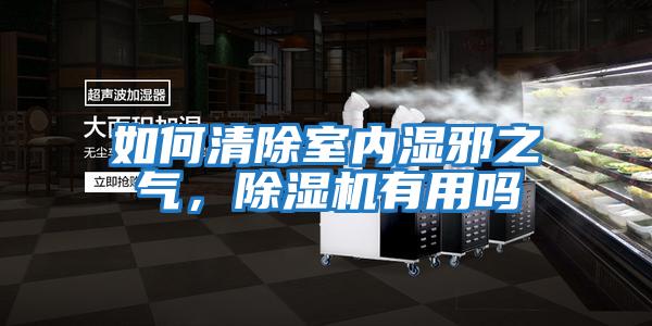 如何清除室內濕邪之氣，除濕機有用嗎