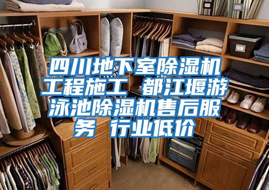 四川地下室除濕機工程施工 都江堰游泳池除濕機售后服務 行業(yè)低價