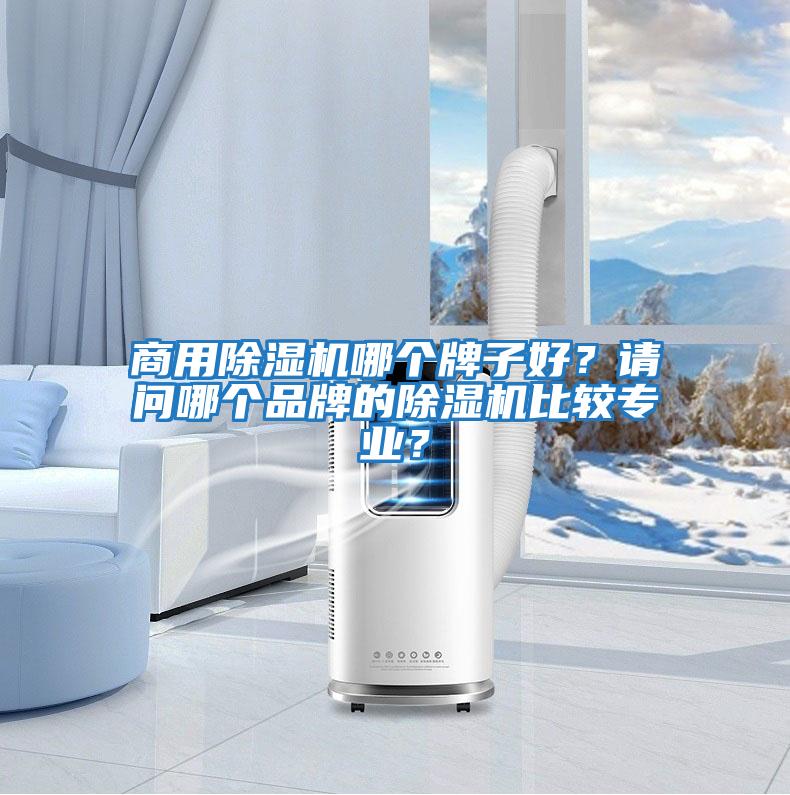 商用除濕機(jī)哪個(gè)牌子好？請(qǐng)問(wèn)哪個(gè)品牌的除濕機(jī)比較專業(yè)？