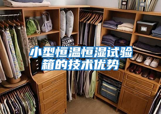 小型恒溫恒濕試驗(yàn)箱的技術(shù)優(yōu)勢