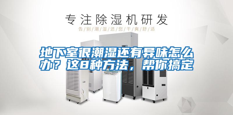 地下室很潮濕還有異味怎么辦？這8種方法，幫你搞定