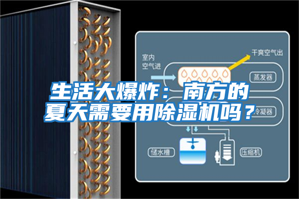 生活大爆炸:南方的夏天需要用除濕機嗎?