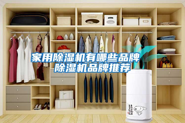 家用除濕機有哪些品牌 除濕機品牌推薦