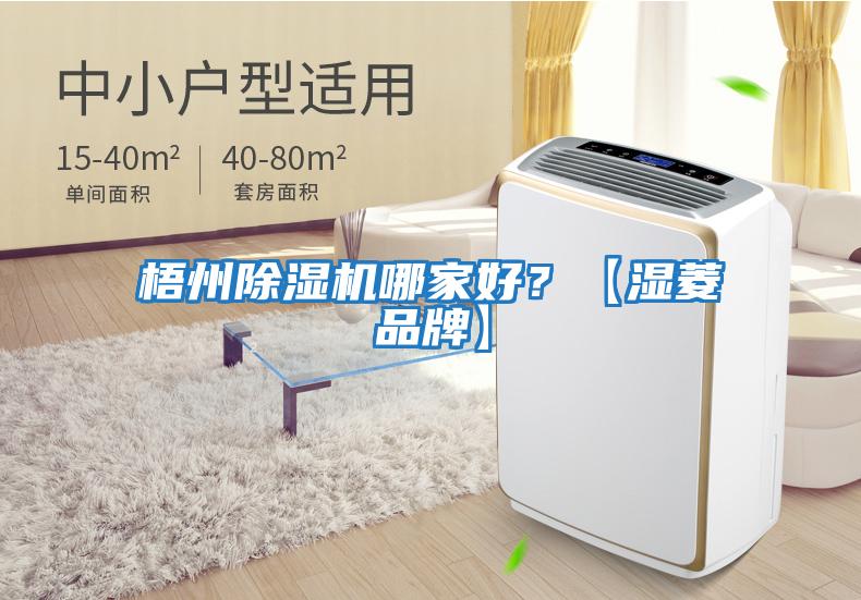 梧州除濕機哪家好？【濕菱品牌】
