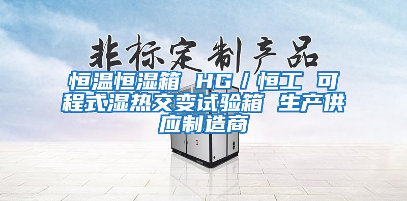 恒溫恒濕箱 HG/恒工 可程式濕熱交變試驗箱 生產供應制造商