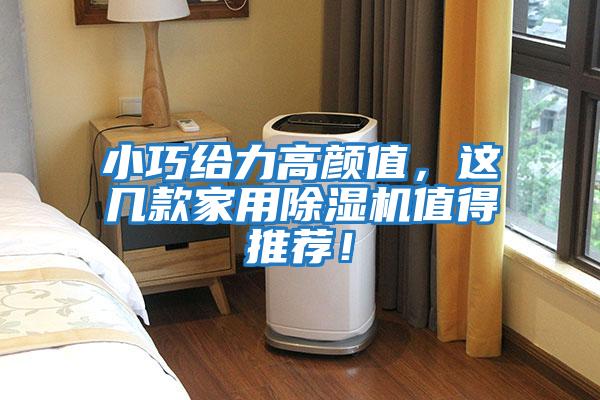 小巧給力高顏值，這幾款家用除濕機值得推薦！