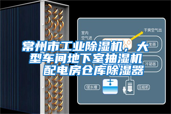 常州市工業除濕機,大型車間地下室抽濕機 配電房倉庫除濕器