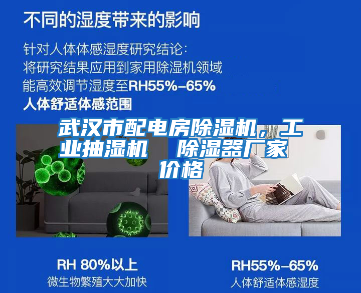 武漢市配電房除濕機，工業抽濕機  除濕器廠家 價格